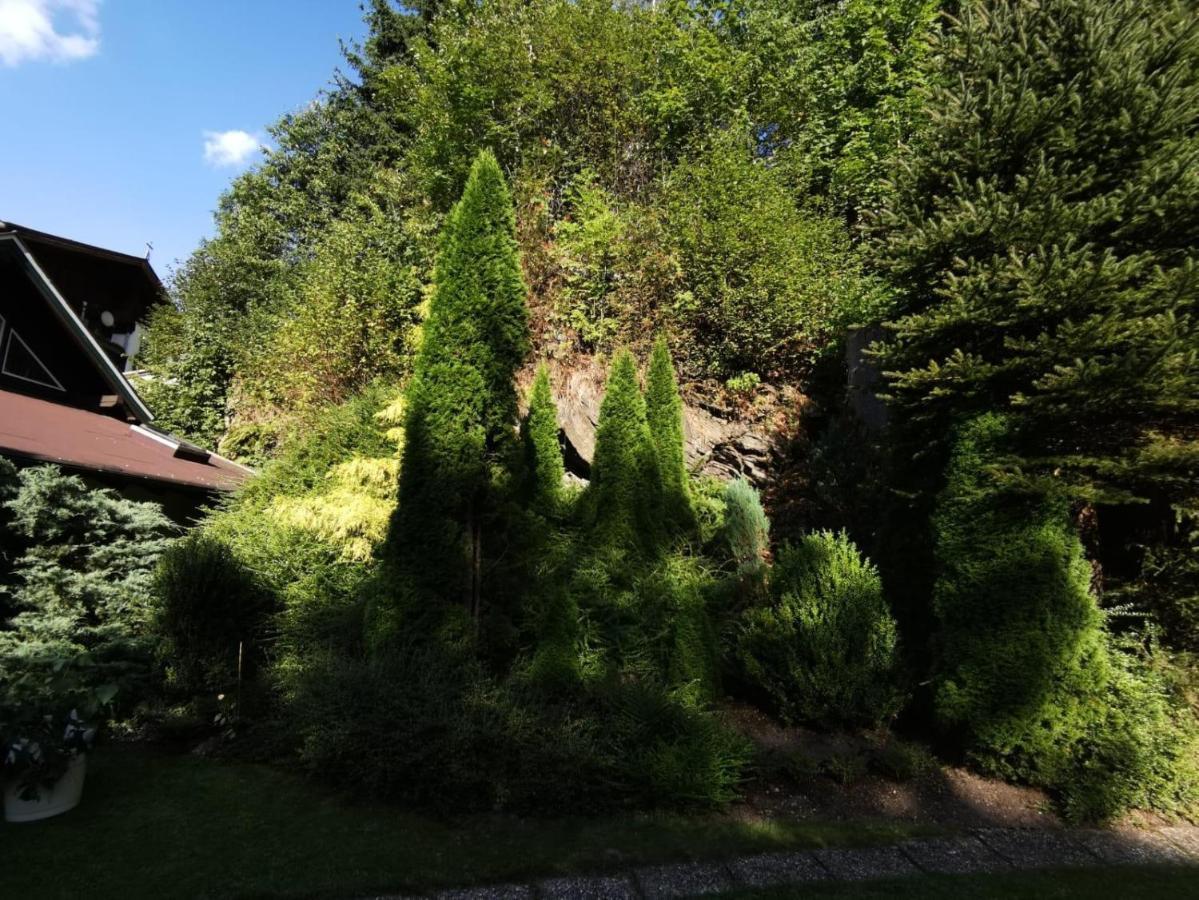 Haus Am Bach Apartment Kirchberg in Tirol Exterior foto